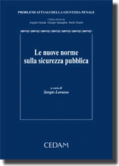 Le nuove norme sulla sicurezza pubblica 