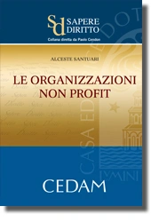 Le organizzazioni non profit 