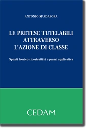 Le pretese tutelabili attraverso l'azione di classe 