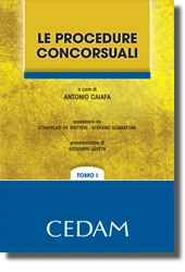 Le procedure concorsuali 