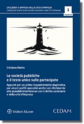 Le società pubbliche e il testo unico sulle partecipate 