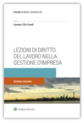 Lezioni del diritto del lavoro nella gestione d'impresa 