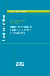 Limiti di velocità e guida in stato di ebbrezza 