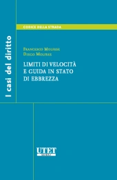 Limiti di velocità e guida in stato di ebbrezza 