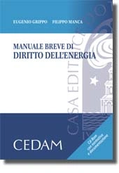 Manuale breve di diritto dell'energia 