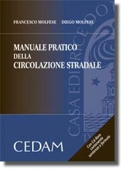 Manuale pratico della circolazione stradale 