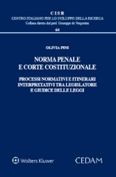 Norma penale e Corte costituzionale.  