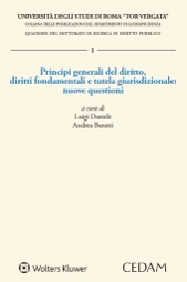 Principi generali del diritto, diritti fondamentali e tutela giurisdizionale: nuove questioni  