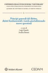 Principi generali del diritto, diritti fondamentali e tutela giurisdizionale: nuove questioni  