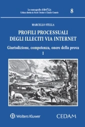 Profili processuali degli illeciti via internet.  
