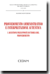 Provvedimento amministrativo e interpretazione autentica 