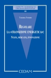 Regolare la «transizione energetica»: Stato, Mercato, Innovazione 