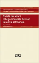 Società per azioni. Collegio sindacale. Revisori. Denunzia al tribunale 