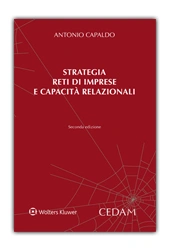 Stategia, reti di impresa e capacità relazionali 