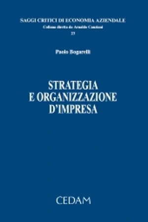 Strategia e organizzazione d'impresa 