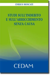 Studi sull'indebito e sull'arricchimento senza causa 