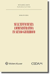 Sull'efficienza amministrativa in senso giuridico 