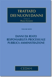 Trattato dei nuovi danni. Volume VI: Danni da reato - Responsabilità processuale - Pubblica amministrazione 