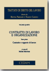 Trattato di diritto del lavoro. Vol. IV: Contratto di lavoro e organizzazione 