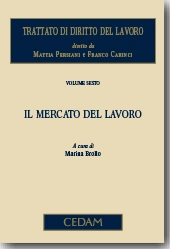 Trattato di diritto del lavoro. Vol. VI - Il mercato del lavoro 