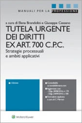 Tutela urgente dei diritti ex Art. 700 C.P.C. 