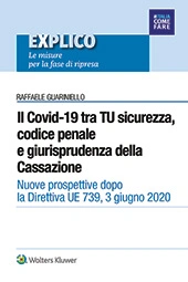 eBook - Il Covid 19 tra TU sicurezza, codice penale e giurisprudenza della Cassazione 