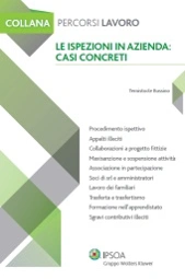 eBook - Le ispezioni in azienda: casi concreti 