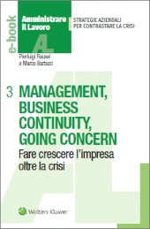 eBook - Management, business continuity, going concern 