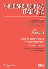 eBook - Sistema sanzionatorio e processo penale: lavori in corso 