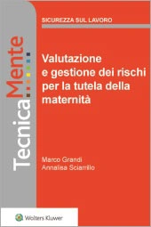 eBook - Valutazione e gestione dei rischi per la tutela della maternità 